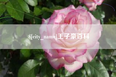 无为王子豪百科