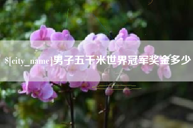 无为男子五千米世界冠军奖金多少