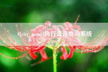 无为执行公告查询系统