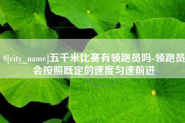 无为五千米比赛有领跑员吗-领跑员会按照既定的速度匀速前进