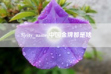 无为中国金牌都是啥