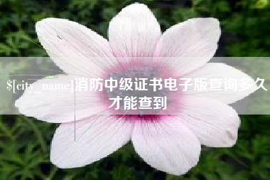 无为消防中级证书电子版查询多久才能查到