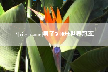无为男子5000米世界冠军