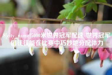 无为5000米世界冠军配速-世界冠军们往往能在比赛中巧妙地分配体力