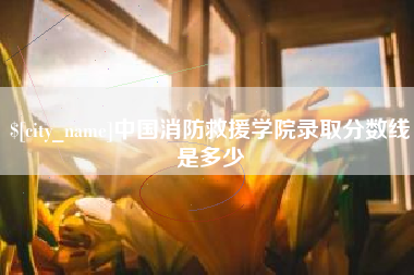 无为中国消防救援学院录取分数线是多少
