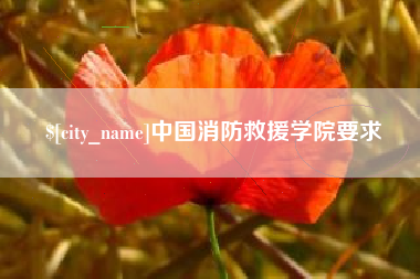 无为中国消防救援学院要求