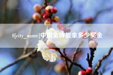 无为中国金牌能拿多少奖金