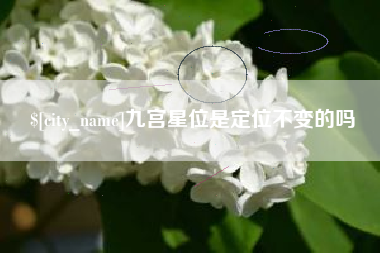 无为九宫星位是定位不变的吗