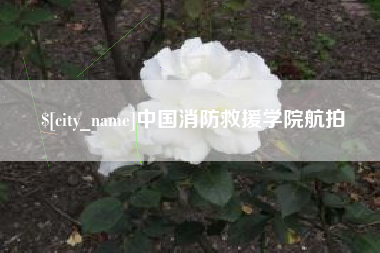 无为中国消防救援学院航拍