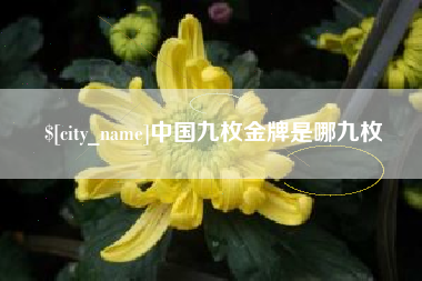 无为中国九枚金牌是哪九枚