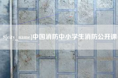 无为中国消防中小学生消防公开课