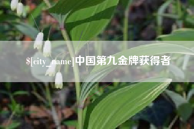 无为中国第九金牌获得者