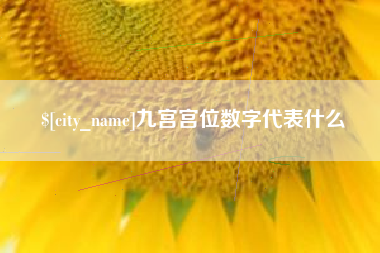 无为九宫宫位数字代表什么