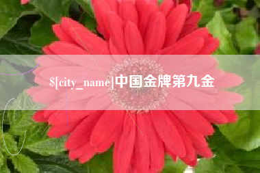 无为中国金牌第九金