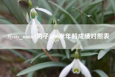 无为男子5000米年龄成绩对照表