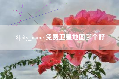 无为免费卫星地图哪个好