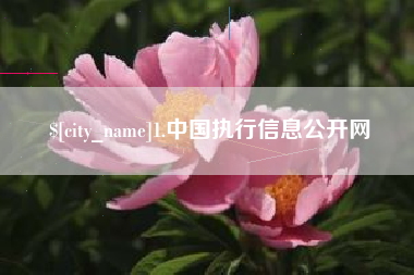 无为1.中国执行信息公开网