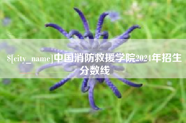 无为中国消防救援学院2024年招生分数线