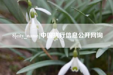 无为中国执行信息公开网询