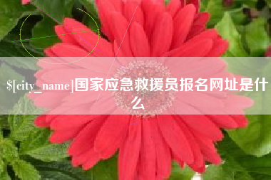 无为国家应急救援员报名网址是什么