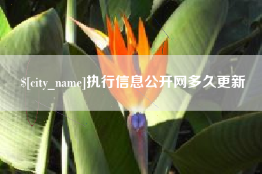 无为执行信息公开网多久更新