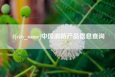无为中国消防产品信息查询
