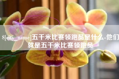 无为五千米比赛领跑员是什么-他们就是五千米比赛领跑员