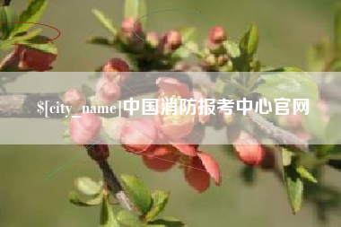 无为中国消防报考中心官网
