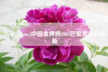 无为中国金牌榜2024巴黎奥运会最新