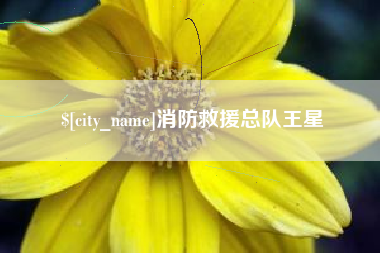 无为消防救援总队王星