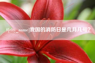 无为我国的消防日是几月几号？