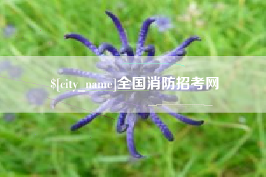 无为全国消防招考网
