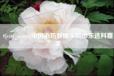 无为中国消防救援学院山东选科要求