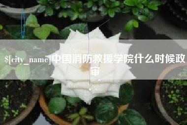 无为中国消防救援学院什么时候政审