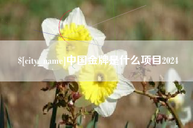 无为中国金牌是什么项目2024