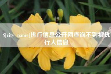 无为执行信息公开网查询不到被执行人信息