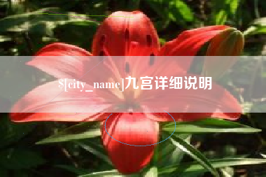 无为九宫详细说明