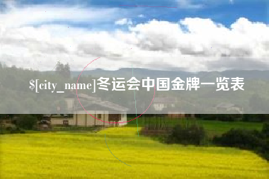 无为冬运会中国金牌一览表