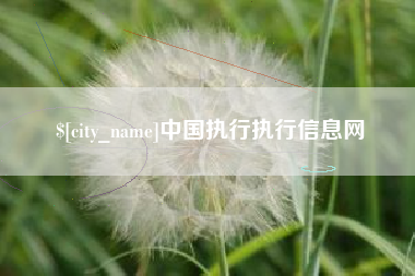 无为中国执行执行信息网