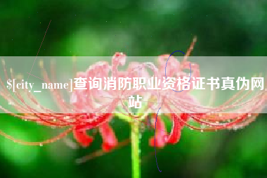 无为查询消防职业资格证书真伪网站