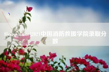 无为2021中国消防救援学院录取分数