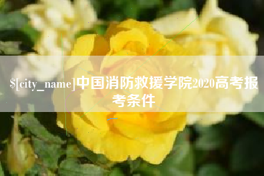 无为中国消防救援学院2020高考报考条件