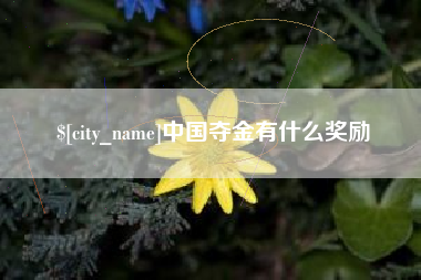 无为中国夺金有什么奖励