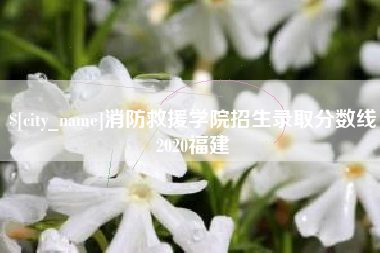 无为消防救援学院招生录取分数线2020福建