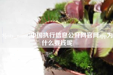 无为中国执行信息公开网官网app为什么要钱呢