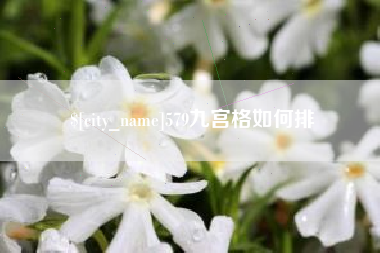 无为579九宫格如何排