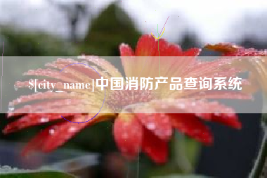 无为中国消防产品查询系统