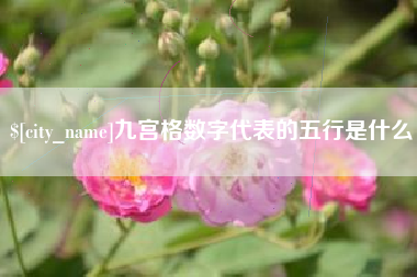 无为九宫格数字代表的五行是什么