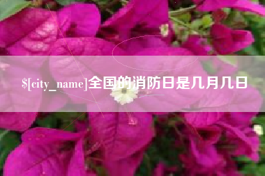 无为全国的消防日是几月几日