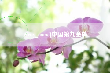 无为中国第九金牌